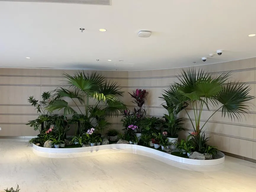 尽享余姚花卉租摆实惠，开启精致生活篇章！